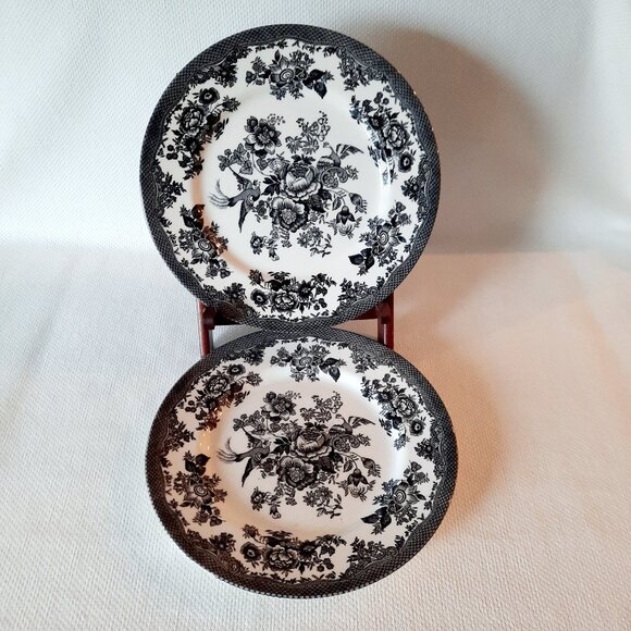 Set of 2 Royal Stafford Black Asiatic Pheasant Transfer Ware Plates, 11" - Picture 1 of 11